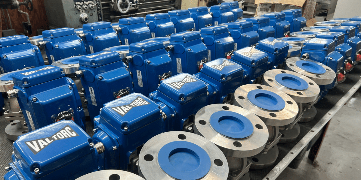 VALTORC International Valve Solutions for Global Markets