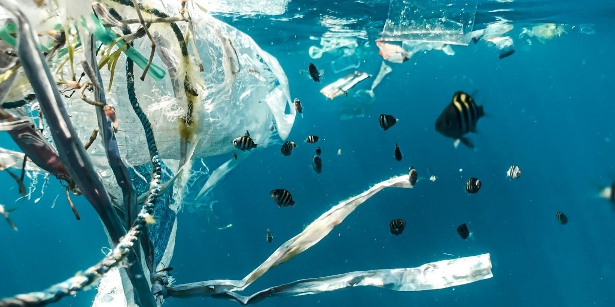 How Microplastics in Food Can Affect Your Health