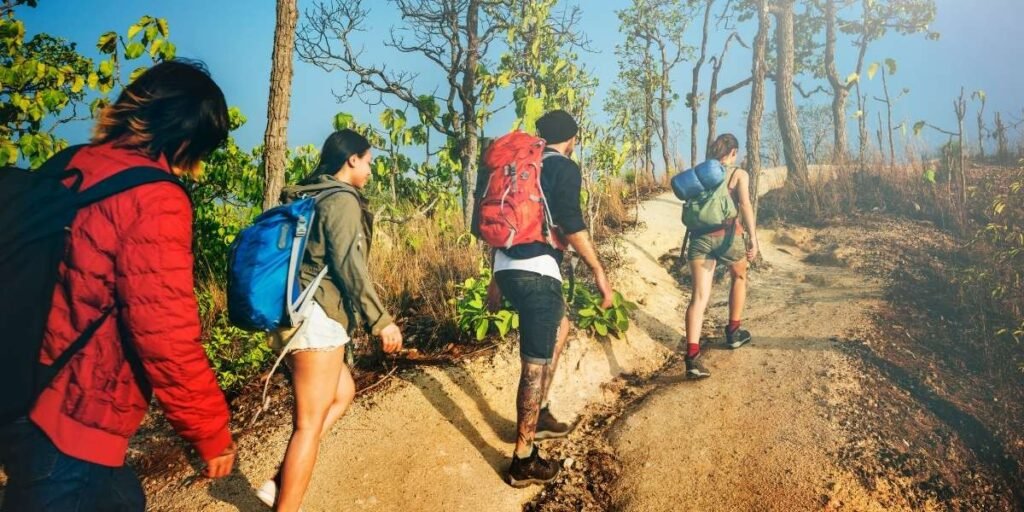 How Dry Tripping is Reshaping Social and Travel Experiences