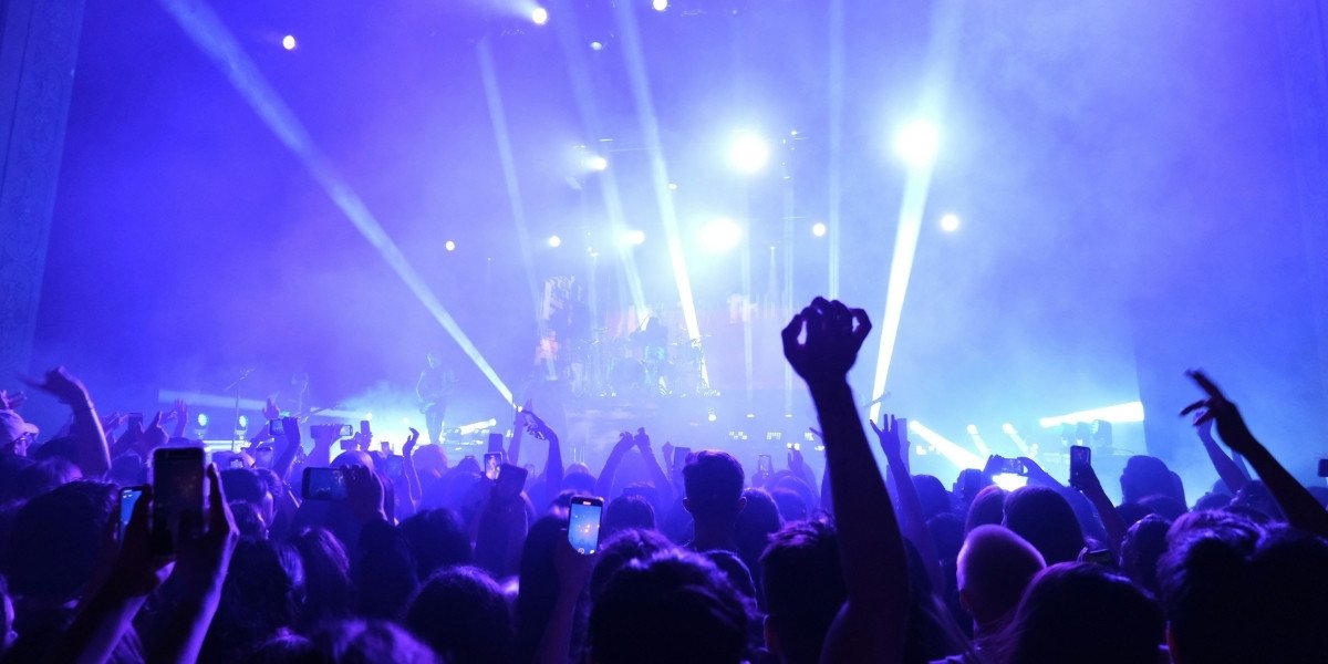 The Experiential Economy: Diversifying Revenue with Music and Festivals