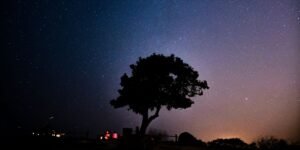 How Starlink is Revolutionizing Internet Access in Central Asia: A New Era of Digital Growth