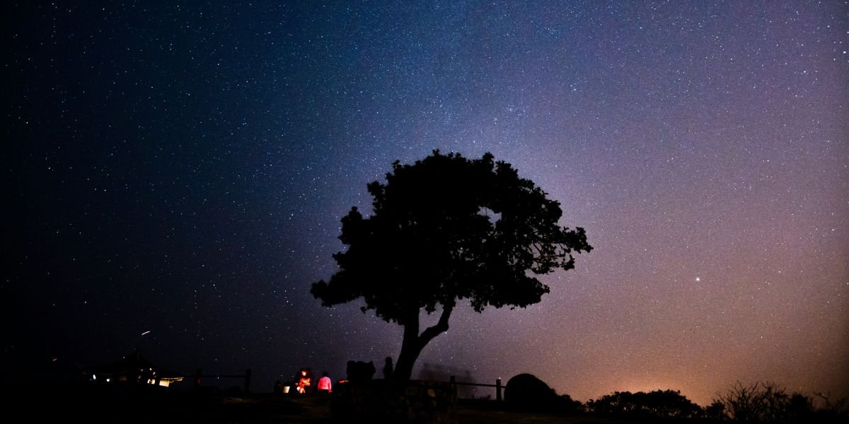 How Starlink is Revolutionizing Internet Access in Central Asia: A New Era of Digital Growth