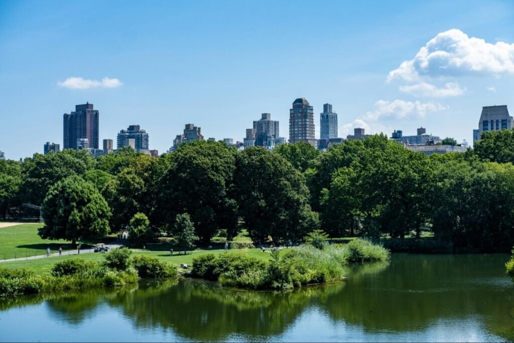 Manhattan Motivated Billionaire Steven Kronick