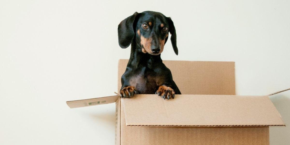 Renovate or Move? Running the Numbers for an Ottawa Home