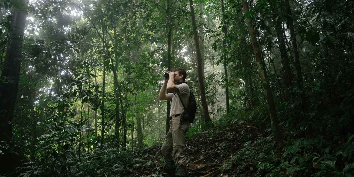 Mastery Made Easy HIKMICRO Crafting Confidence for Hunters Worldwide