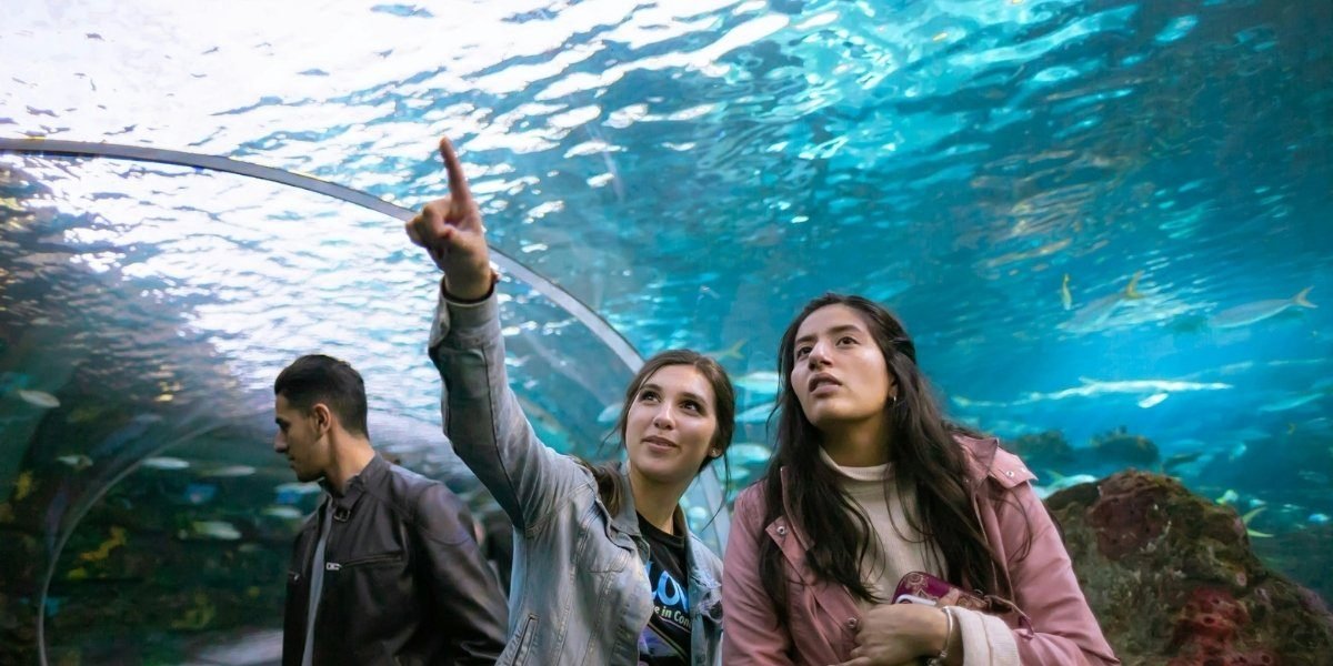 The Ripple Effect: How Fewer US Visitors Are Changing Global Tourism